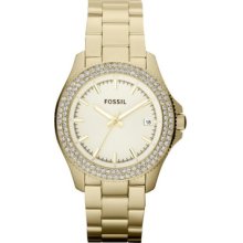 Fossil Fossil Ladies Diamonds Stainless Steel Case Date Watch Am4453