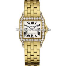 Large Cartier Santos Demoiselle Diamond Ladies Watch WF9002Y7