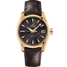 Omega Seamaster Aqua Terra Mid-Size Chronometer 231.53.39.21.06.001