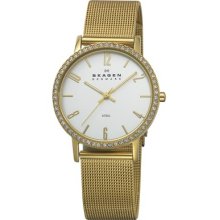 Skagen Gold Mesh Ladies Dress Watch