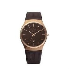 Skagen 925xlrld Mens Brown Leather Watch