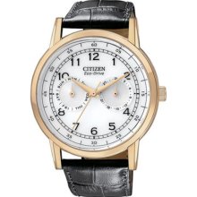 Citizen Eco-Drive 3-Hand Multifunction Men's watch #AO9003-16A