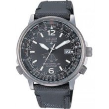 Citizen Radiocontrollato Pilot Watches