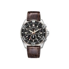 Citizen Signature Eco-Drive Perpetual Chronograph Mens Watch