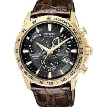 Men's Atomic Gold Stainless Steel Case Black Dial Eco-Drive