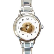 Dog 16 Starter Italian Charm Links Round Watch 01