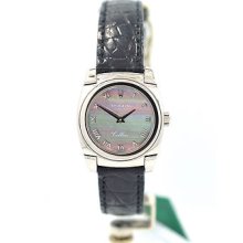 Mint Lady Rolex Solid 18k Wg Cellini 5310 Dark Mop Dial Gorgeous Complete B/p