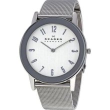 Skagen Mens Mesh Silver Dial Stainless Steel Dress Watch 39lsss