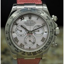 Rolex Oyster Perpetual 18k White Gold Daytona Pink Mother Of Pearl - 116519