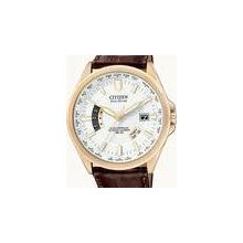 Citizen watch - CB0013-04A Perpetual Calendar Mens