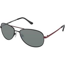 Ted Baker Sunglasses B495 Flyby Authentic Sunglass Frames