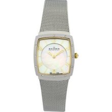 Skagen Women's 396xsgs Crystal Accented Mother Of Pearl Mesh Watch