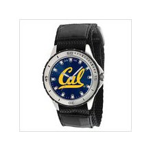 California (berkley) veteran