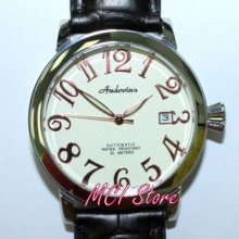 Designer Automatic Mechanical Steel Wrist Watch - If19