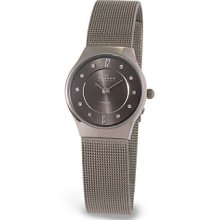 Skagen 233xsttm Ladies Grey Titanium Mesh Watch Rrp Â£119