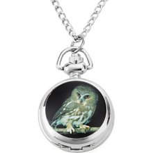 Women's Alloy Analog Quartz Necklace Watches with owl (Silver)