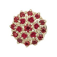 14k Yellow Gold Ruby Victorian Bracelet Slide Gs055-r