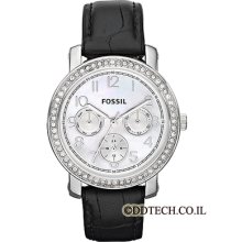 In Box Fossil Women's Classic Chronograph Watch Es2969