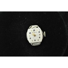 Vintage Ladies Wittnauer Wristwatch Movement Caliber 6w8 Running