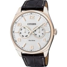 AO9024-08A - Citizen Eco-Drive Leather Men's Multi-Dial Calendar Gold Tone 100m Elegant Watch