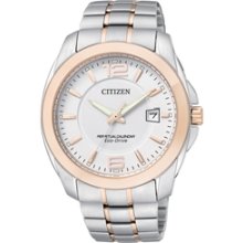 BL1248-57A - Citizen Eco-Drive Perpetual Calendar Sapphire Dual Tone Japan 100m Watch