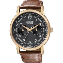 Citizen Eco-Drive Gold-Tone Leather Mens Watch AO9003-08E