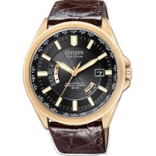 Citizen Eco-Drive World Perpetual A-T Limited Edition Mens Leather Watch