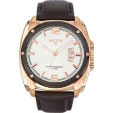 Hector H France Men's Gold PVD Stainless Steel Sunray Dial Black ...