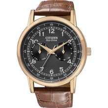 Mens Citizen Eco-Drive Watch in Gold Tone Stainless Steel with Brown Leather Strap (AO9003-08E)