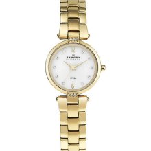 Skagen Womens Steel 109SGGX Watch