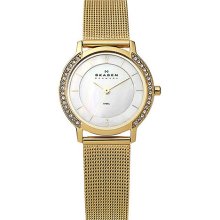 Skagen Womens Steel 804SGG Watch