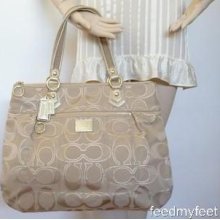 Coach 17890 Poppy Glam Tote Gold Khaki Sateen Lurex Zipper Shoulder Bag Handbag