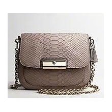 Coach Kristin Embossed Python Fashion Cross Body Purse Slate - Great Value