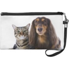 Dog (Dachshund) and cat (Japanese cat) on white Wristlet