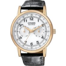 Citizen Eco-Drive Gold-Tone Leather Mens Watch AO9003-16A