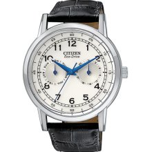 Citizen Men's Stainless Steel Case Eco-Drive Silver Dial Day and Date Display Black Leather Strap AO9000-06B
