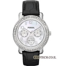 In Box Fossil Women's Classic Watch Es2969