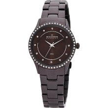 Skagen Denmark Womens Watch Brown Link with Glitz #347SDXD ...