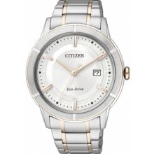 Citizen Eco-drive Wr 50m Dual Tone Calendar Date Watch Aw1084-51a