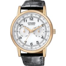 Citizen Men's Gold Tone Stainless Steel Case White Dial Day and Date Display Leather Strap AO9003-16A