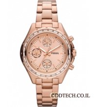 In Box Fossil Women's Classic Chronograph Watch Ch2826