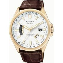 Men's Gold Tone Stainless Steel Case Eco-Drive Atomic Perpetual