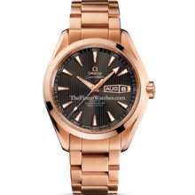 Omega Seamaster Aqua Terra Annual Calendar Mens Watch 23150432206001