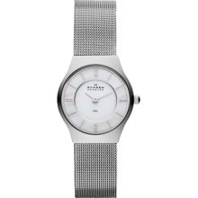 SKAGEN SKAGEN Silver Tone Steel Mesh Watch