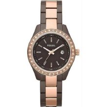 Women's Stella Mini Two Tone Stainless Steel Case and Bracelet Brown Dial